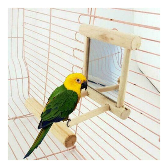 Mirror Pet Bird Wooden Play Toy with Perch For Parrot Finch Parakeet P4G5 image {1}