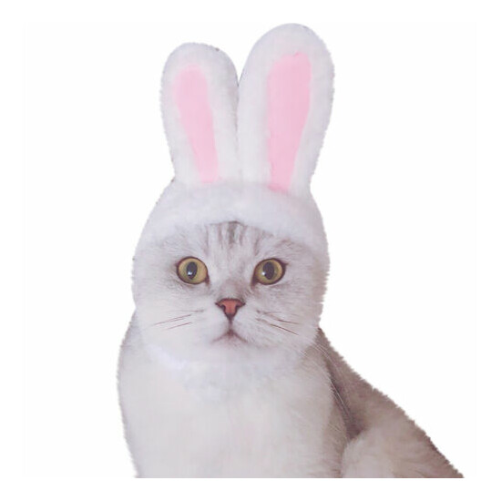 Dog Pet Bunny Rabbit Ears Hat For Cat Small Puppy Kitten Party Costume OutfitUS image {2}