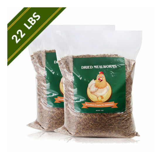 22LBS Dried Mealworms Bulk for chickens Birds Bluebirds Hamsters Hen Meal Worms image {1}