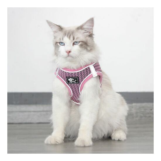  Cat Harness Reflective Walking Adjustable Vest Lightweight, 5ft Leash image {2}