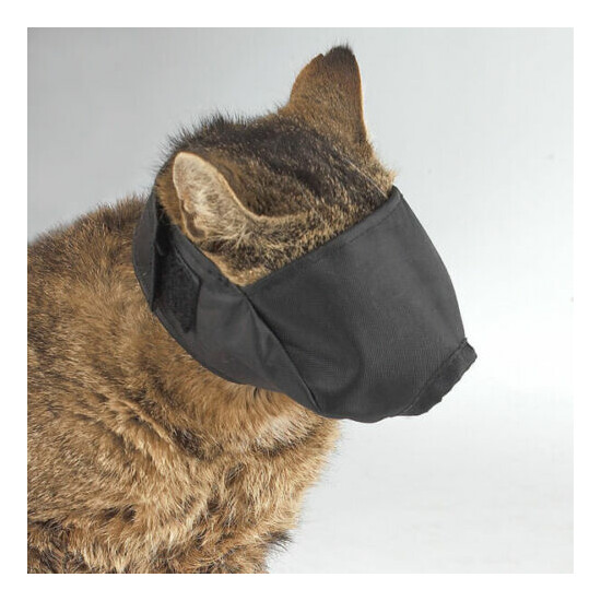 CAT Quick Easy-Fit Comfort LINED MUZZLE BLACK*3 SIZES GROOMING TRAINING Vet Meds image {2}