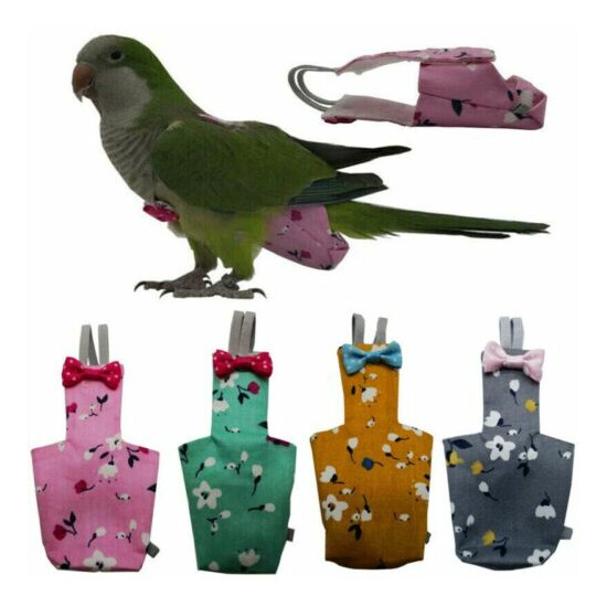 Bird Parrots Diapers Cockatiel Pigeon Nappy Pet Birds Flight Clothes Comfy Set image {1}