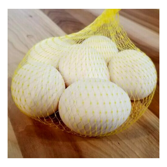 50 count Pedigree Egg Hatching Bags Stretchable Mesh Incubator Hatch bag image {3}