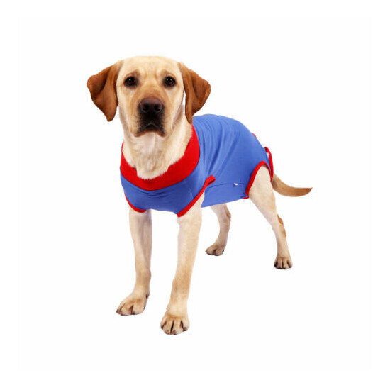 Recovery Suit Anti Licking Dog Supplies Portable Soft Pet Wound Protection image {4}