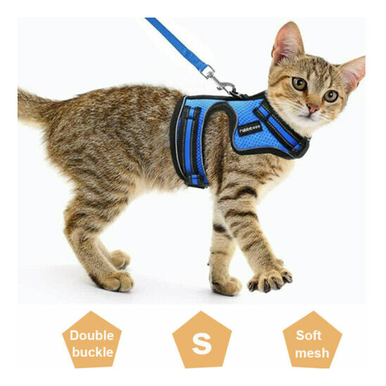Rabbitgoo Cat Harness Escape Proof Small Dog Adjustable Reflective Vest Blue S image {1}