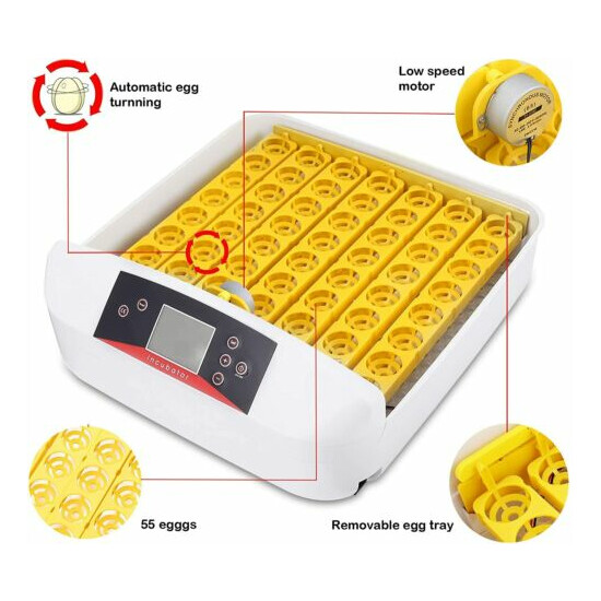 Egg Incubator 55 Practical Fully Automatic Poultry with Egg Candler Temp Control image {6}