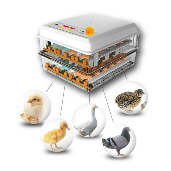 Automatic Eggs Incubator Brooder Chicken Turner Hatcher Poultry Farm Incubation image {1}