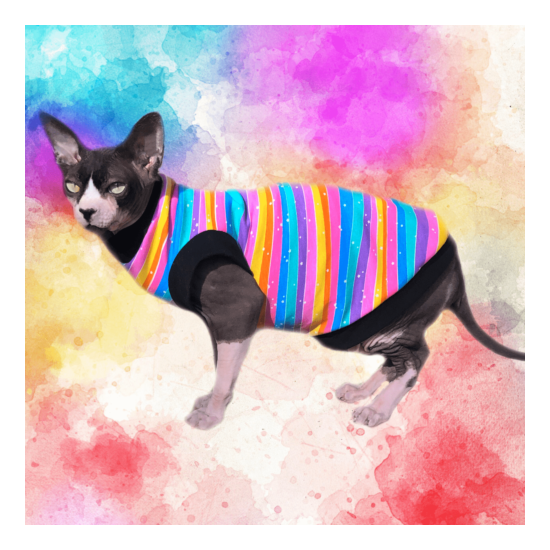 Sphynx Cat Shirt Rainbow Stripes - Clothes Clothing Coat Vest Jumper Devon Rex image {1}