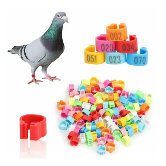 100Pcs Leg Bands Plastic Chicken Pheasant Poultry Duck Bird Leg Rings ID Tags US image {2}