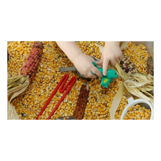 Iowa Grown Feed Corn - Multiple Sizes to Choose from - Great for Wildlife - Feed image {7}