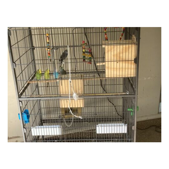 bird cage+ parakeets+ Accessories image {3}