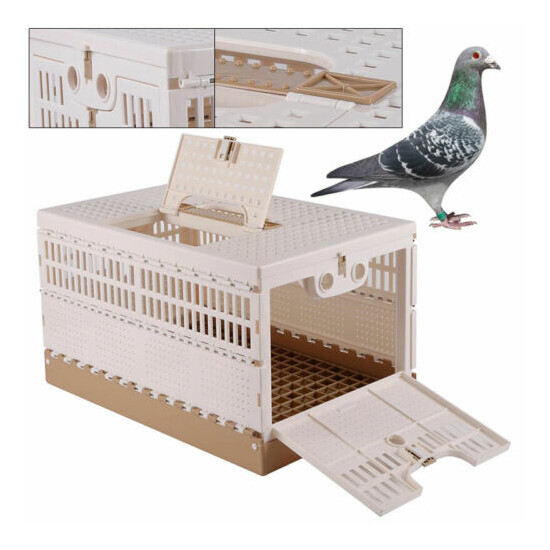 Bird Cage Racing Pigeon Carrier Box 2 Side Doors Poultry Pet Cage Folding Cage  image {3}
