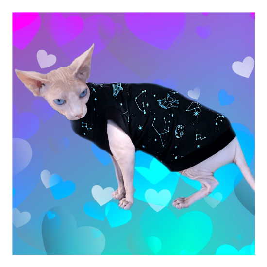 Sphynx Cat Shirt Black Universe Print Clothes Clothing Cotton Coat Vest Jumper  image {1}