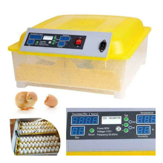 Automatic Digital 7/12/48/56 Egg Incubator Hatcher Turning Temperature E image {2}