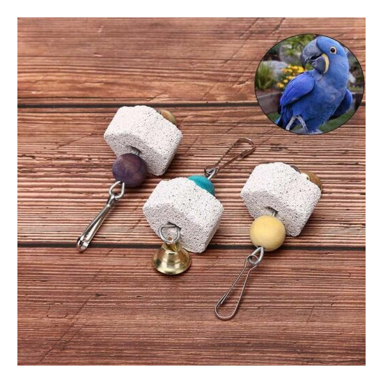Pet birds parrot mouth grinding stone molars stone hanging string chewing t.VA image {3}