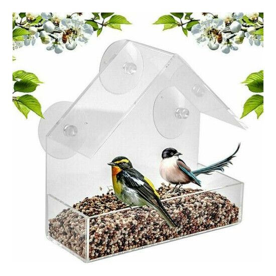 2PCS Acrylic Window Bird Feeder with Removable Tray Suction Cups & Drain Holes image {1}
