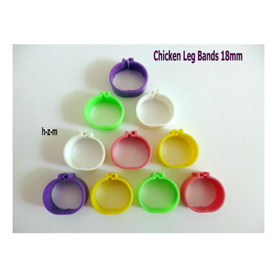 ( 100 Pcs ) Chicken Leg Bands 18mm Chicken Poultry Rings 5 Colors image {1}