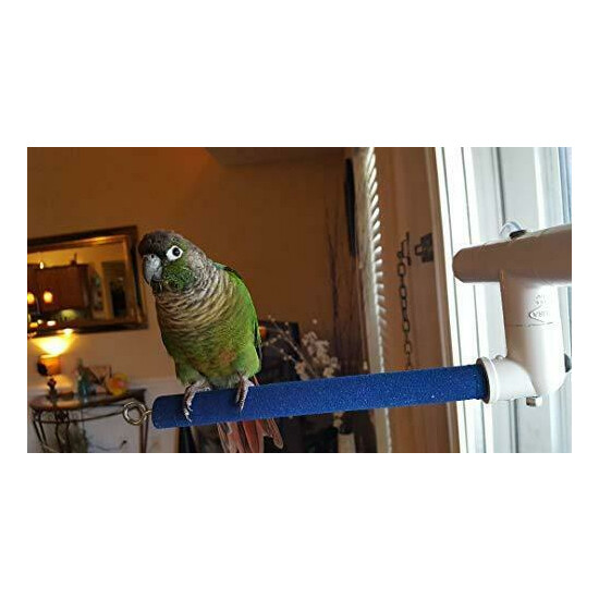 Polly's Sandy Window and Shower Bird Perch, Small image {2}