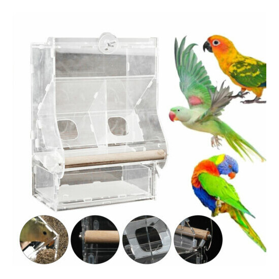 Automatic Pet Parrot Bird Food Feeder Acrylic High/Low Double Hopper Non-slip US image {1}