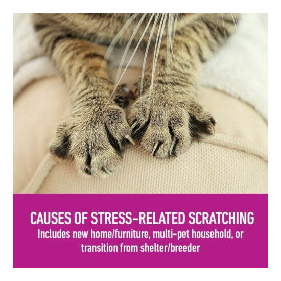 6-PACK Comfort Zone Feliway 48 ml REFILL for Diffuser Cat Behavior Stress Relief image {5}