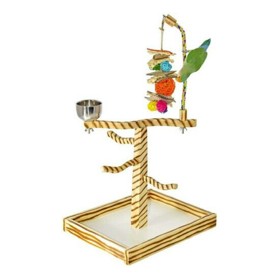 Birds LOVE TigerTail Play Gym Tabletop w Cup, Toy Hanger and Free Parrot Toy Inc image {1}