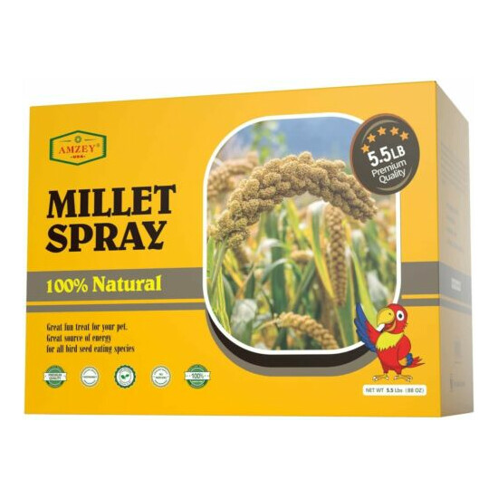 22LB Amzey Spray Millet for Parakeets 100% Natural Dried Millet Grain for Birds image {3}