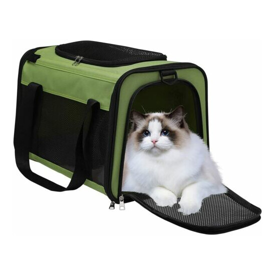 Cat & Small Dog Duffel Travel Carrier Bag Green Large 19" NEW image {1}