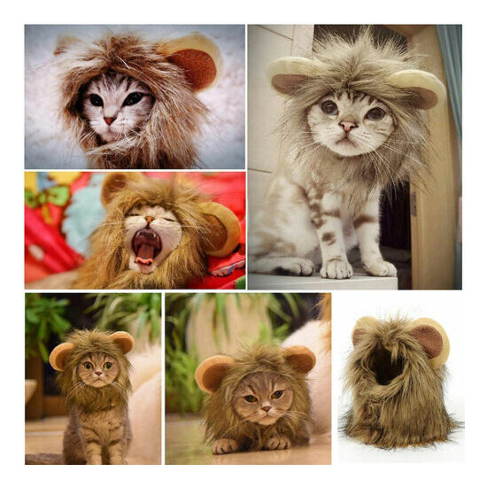Cute Lion Mane Cat Wig Pet Small Dog Cats Costume Lion Mane Wig Cap Hat for Cat  image {1}