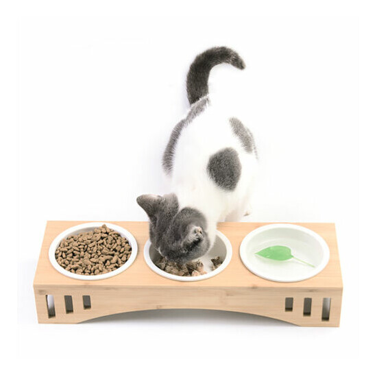 Dog Pet Ceramics Feeding Bowl with Bowls Dish Holder Cat Food Dish Feeder USA  image {1}