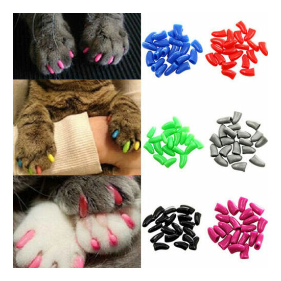 20Pcs Pet Cat Soft Silicone Paw Claw Control Nail Caps Cat Kitten Nail Covers US image {1}