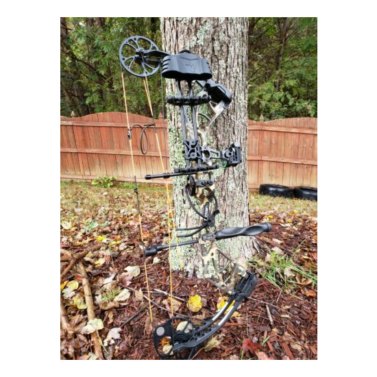 Bear Species Compound Bow image {1}