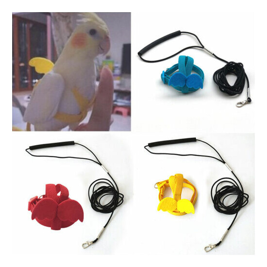 Adjustable Parrot Bird Harness Leash Set Anti-bite Training Outdoor Flying Rope image {2}