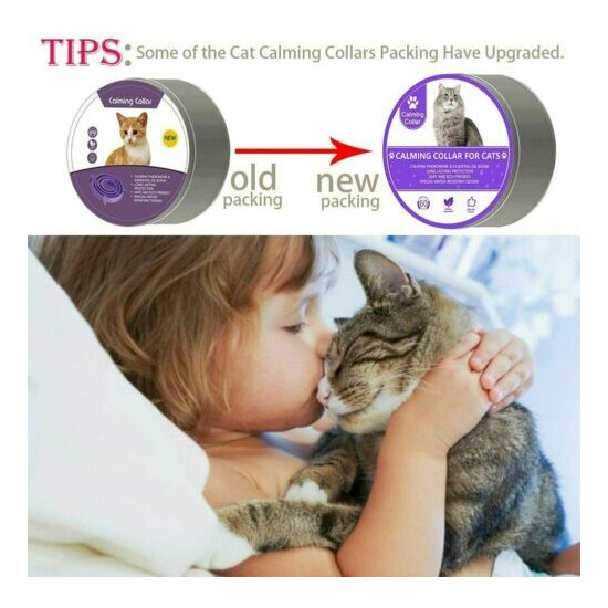 LUPUS 3 Pack Calming Collar for Cats, Cat Calming Collars, Natural Cat image {4}
