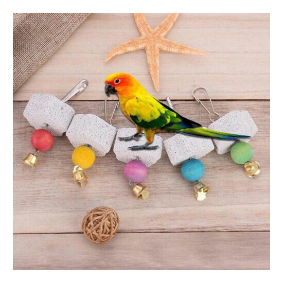 Pet birds parrot mouth grinding stone molars stone hanging string chewing t.VA image {1}