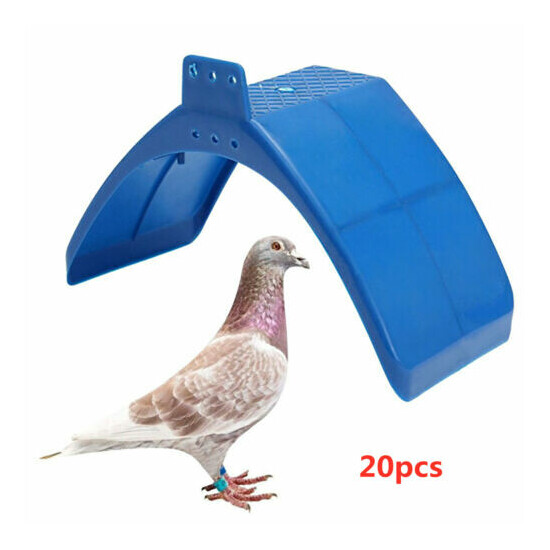 20 Pack Pet Dove Rest Stand Frame Dwelling Pigeon Perches Birds Roost Supplies image {4}