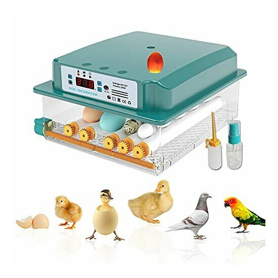 Incubator Egg Automatic Incubator Brooding Machine Chicken Incubator Home Inc... image {1}