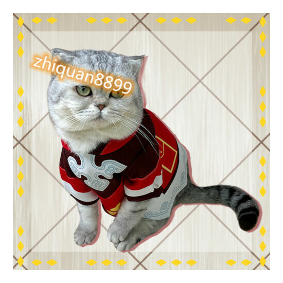 Game Genshin Impact Klee Cat Dog Clothes Cloak Coat Hat Pet Cosplay Costume Set image {3}