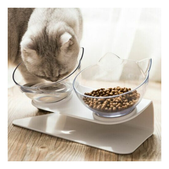 Double Bowls With Raised Stand Non-slip Pet Food And Water Feeder For Cat Dog image {2}