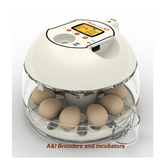RCom Pro10 Plus Automatic Egg Incubator Quail Chicken Avian DIGITAL Warranty USA image {3}
