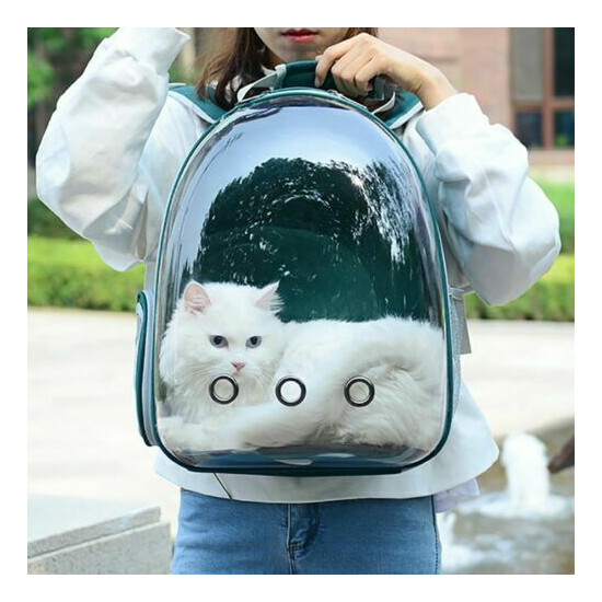 New Large Capacity Cats Backpack For Cat Puppy Transparent Window Carrier Bag image {1}