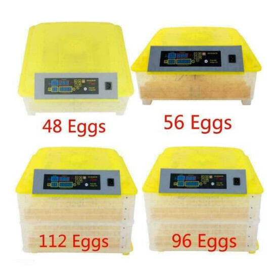 56/96/112 Digital Egg Incubator Hatcher Temperature Control Automatic Turning image {1}