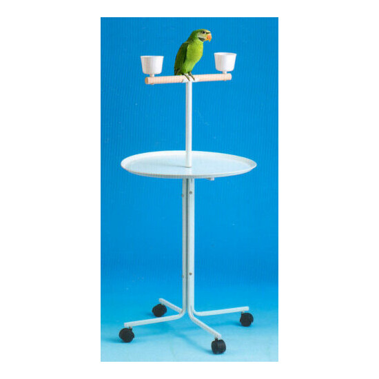 Large 23" Metal Base Parrot Amazon African Grey Macaw Cockatoo Play Stand Ground image {1}
