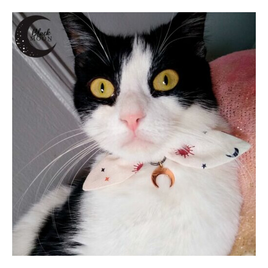 Cat Collar*Bunny Ear Bowtie*Breakaway Collar*Small Dog Collar*Moon Night image {2}