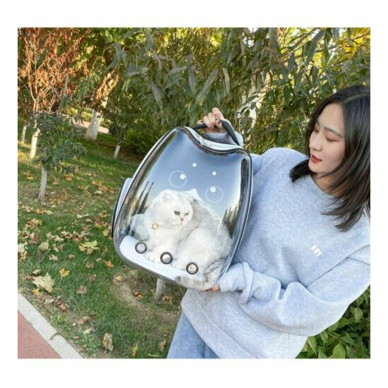 Portable Cat Carrier Bag Puppy Transparent Capsule Travel Backpack Pet Supplies image {4}