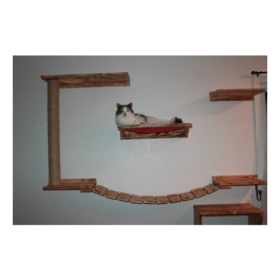 Cat Shelves/ Cat Play/ Relax Center image {2}