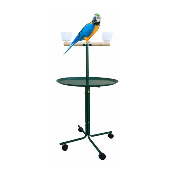 47-Inch Large Parrot Play Perch Stand Feeder Bowls Metal Tray Rolling Wheels GN image {1}