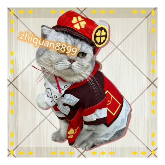 Game Genshin Impact Klee Cat Dog Clothes Cloak Coat Hat Pet Cosplay Costume Set image {1}