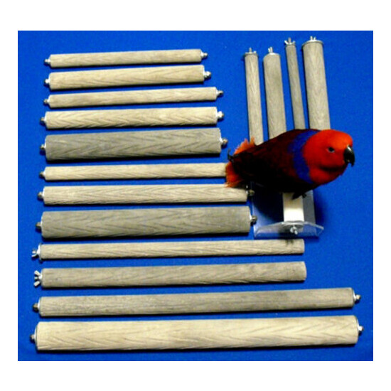 BEST Parrot Bird PERCH 3/4 x 5 inch indestructIble textured stone trims nails image {2}
