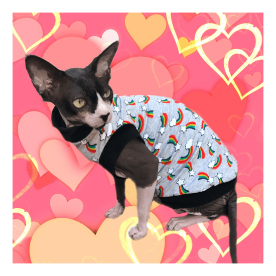 Sphynx Cat Shirt Rainbows - Clothes Clothing Cotton Top Vest Jumper Sweater Coat image {1}