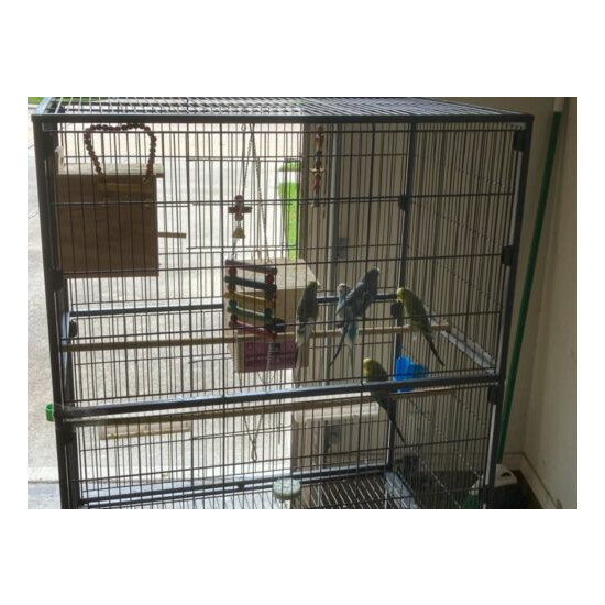 bird cage+ parakeets+ Accessories image {2}